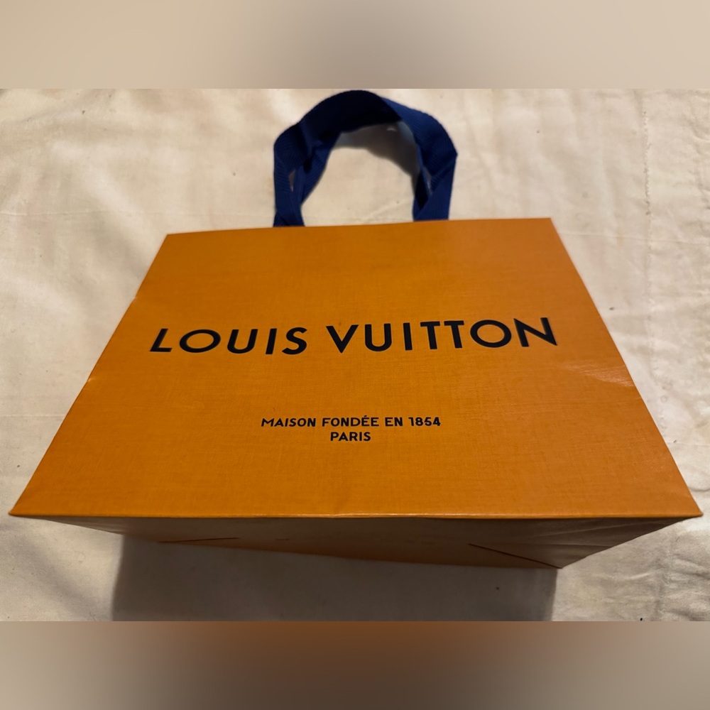 Louis Vuitton paper bag